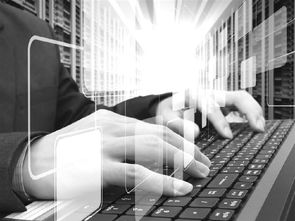 Web平面设计 数字时代的视觉沟通艺术