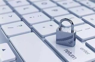 网络安全宣传周 网络与信息安全软件开发小常识