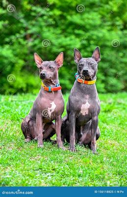 汾阳游戏点券代理加盟与网络信息安全软件开发 机遇与挑战并存的新兴领域